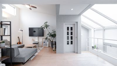 Skylight Renovation in Santa Rosa, CA