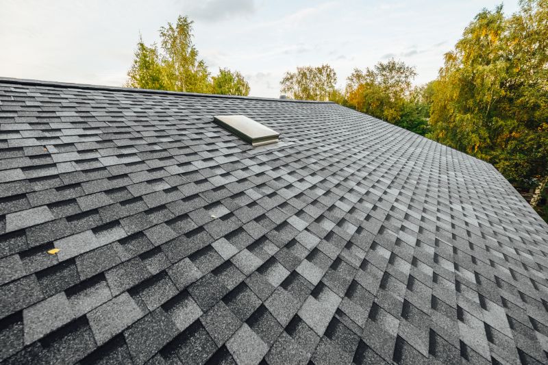 Roofing Companies